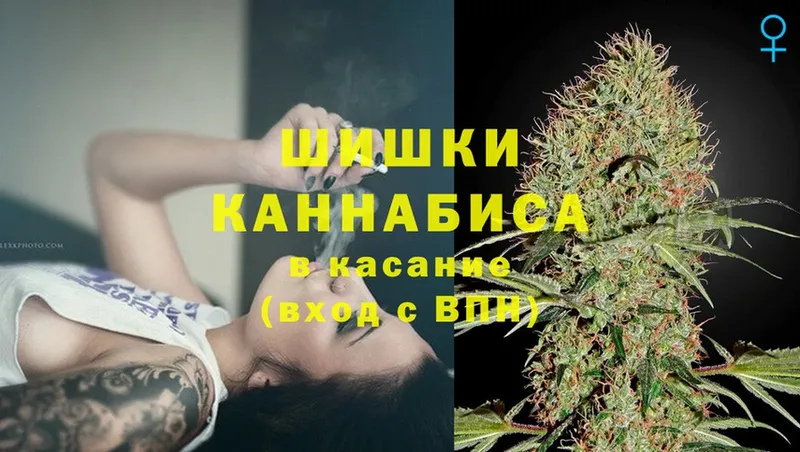 купить наркотики сайты  Кушва  MEGA зеркало  Конопля SATIVA & INDICA 